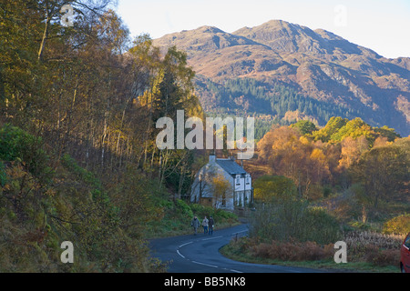 Herbstfarben in die Trossachs Ben Venue Perthshire Schottland November 2008 Stockfoto