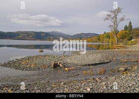 Herbstfarben in die Trossachs Loch Ard auf der Suche nach Ben Lomond Perthshire Schottland November 2008 Stockfoto