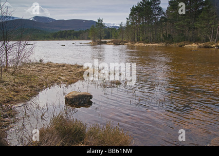 Luineag Loch Morlich Aviemore Highland Region Schottland April 2009 Stockfoto