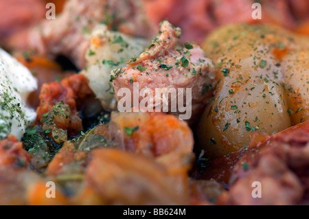 Traditionelle bosnische Sahan Mahlzeit enthält gefülltes Gemüse mit Fleisch. Bosnien-Herzegowina Stockfoto