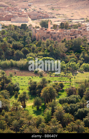 Blick über eine Kasbah, umgeben von einem Oasen/bewässert Land durch den Fluss Ziz in der Ziz-Schlucht, Marokko, Nordafrika Stockfoto