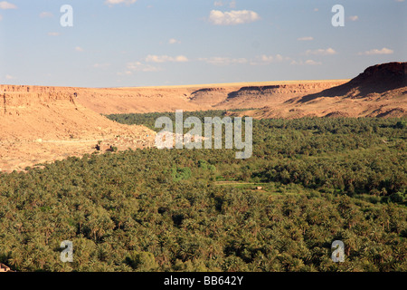 Oasen/bewässert landen Alongsde die versteckten Flusses Ziz in der Ziz-Schlucht, Marokko, Nordafrika - März Stockfoto