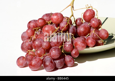 Cluster der roten Trauben in einer Platte auf weißem Hintergrund Stockfoto