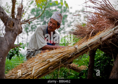 Menschen, die Arbeiten am Dach mit Reisstroh in abgelegenen Dorf Chitwan Nationalpark Nepal 93396 Nepal-Chitwan-Nationalpark Stockfoto