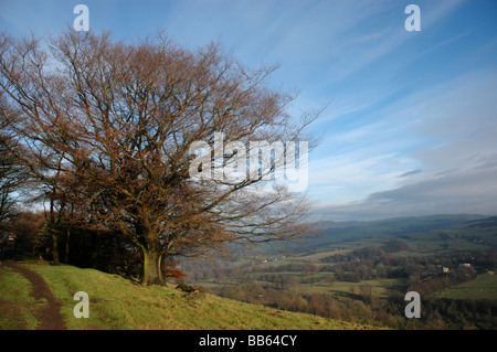 Blick vom Kerridge Ridge in ein Tal von üppigen grünen Feldern Stockfoto