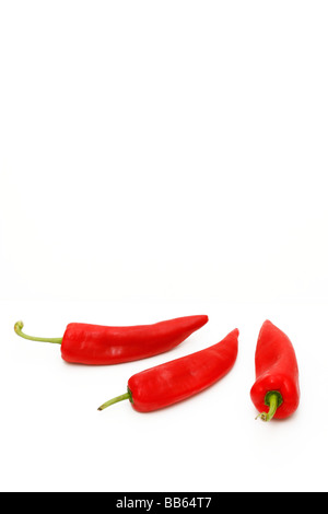 Schließen Sie sich frisch und lecker 3 rote Chilischoten isoliert (Ausschnitt) auf weißem Hintergrund. Mai 2009 Stockfoto