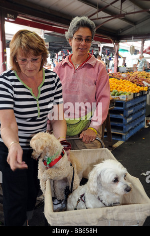 Zwei Damen Frauen im Chat mit zwei kleinen Hunden im Einkaufswagen in Queen Victoria Market Melbourne Australien Stockfoto