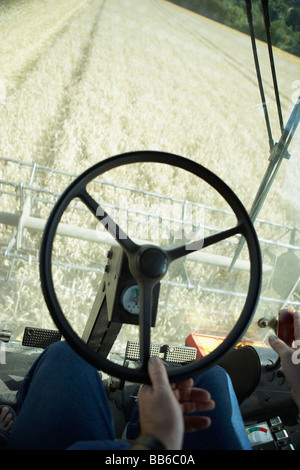 Mähdrescher im Bereich Stockfoto