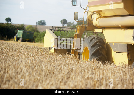 Mähdrescher im Bereich Stockfoto