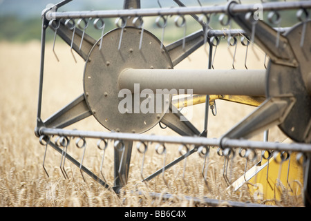 Mähdrescher im Bereich Stockfoto
