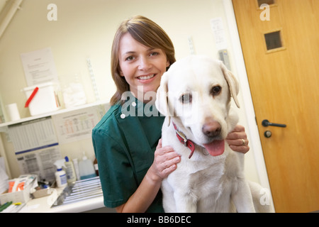 Tierarzt mit Hund In der Chirurgie Stockfoto