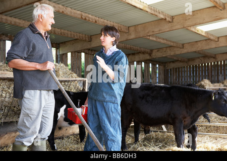 Landwirt Gespräch mit Tierarzt Stockfoto