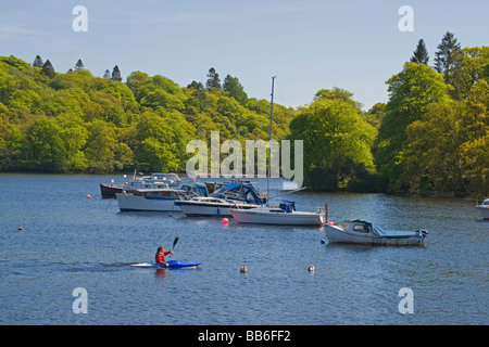 Frühlingsfarben auf Loch Lomond Aldochlay auf der Suche nach Zoll Tavannach Insel Schottland Mai 2009 Stockfoto