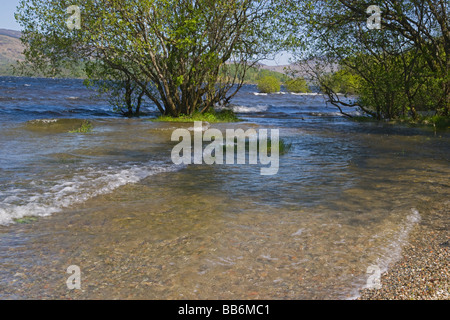 Frühlingsfarben auf Loch Lomond Luss Pier Wellen Schottland Mai 2009 Stockfoto