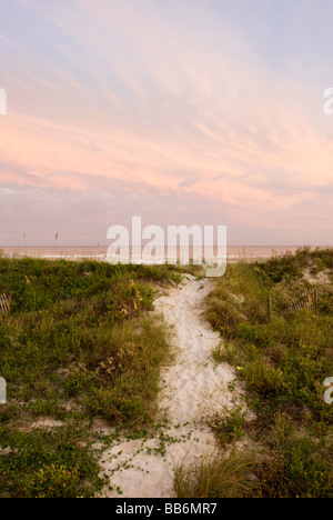 Strand-Weg zum Meer Stockfoto