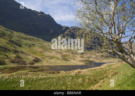 Loch Restil Rest und dankbar Argyll und Bute Schottland Mai 2009 Stockfoto