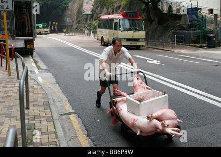 Ein Mann entlädt Tote Schweine von der Ladefläche eines Lastwagens auf einem Wagen auf der Straße, an der Metzgerei-Shop für den Verkauf in Aberdeen Stockfoto