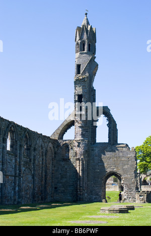 Der Turm und der Westgiebel des zerstörten St. Andrews Cathedral Fife Schottland Vereinigtes Königreich UK Stockfoto