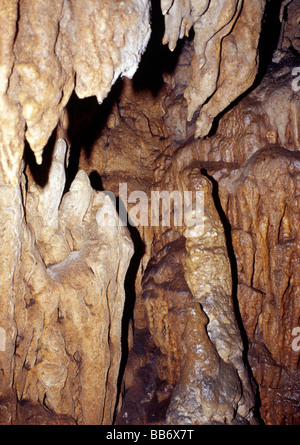 Stalagmiten Bildung, Drachenhöhlen, Yangshuo Stockfoto