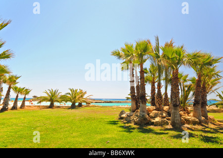 Risi Strand in der Sonne Stockfoto