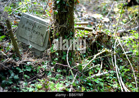 Melden Sie ein überwucherter öffentlichen Fußweg in einem Wald in sussex Stockfoto