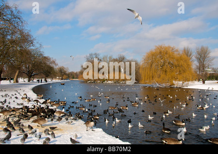 Bootfahren See Regents Park im Winter London England UK Stockfoto