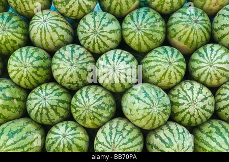 Wassermelonen Mysore Karnataka Indien Stockfoto
