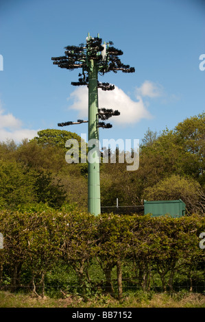 Mobile Telefon Mast auf Ackerland, getarnt als Baum Cumbria Stockfoto