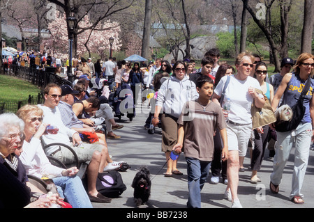Central Park Conservancy Frühlingstag. Wanderungen im Central Park New York City. Menschen, die die Frühlingswärme genießen. Freizeit in New York, USA Stockfoto