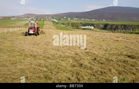 Drehen das Heu. Ein Bauer in seinem Traktor macht ein langes Feld von Heu. Malin Beg, Donegal, Irland Stockfoto