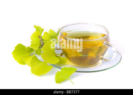 T-Stück Ginkgo Tee Ginkgo 01 Stockfoto