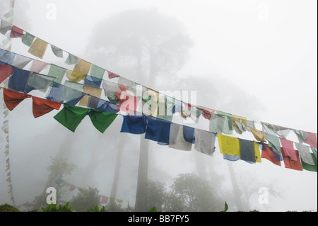 Gebetsfahnen und Bäume im Nebel, Dochu La Pass, 3050 Meter hoch, Bhutan Stockfoto