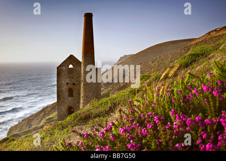 Ein Blick auf die verlassenen Wheal Coates Zinnmine auf der Nordküste von Cornwall, in der Nähe der Ortschaft St. Agnes Stockfoto