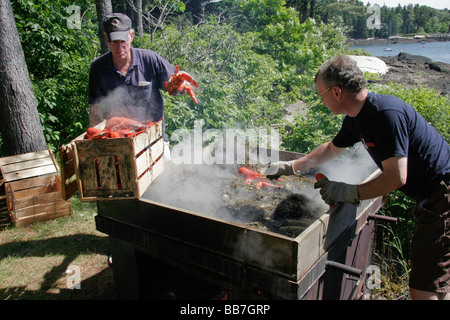 Im Maine Hummer backen Stockfoto