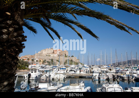 Der Hafen von Calvi mit der Zitadelle im Hintergrund, Korsika Frankreich Stockfoto