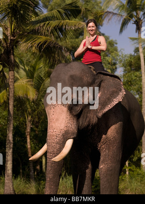 Junge Frau auf dem Rücken eines Elefanten des Yoga zu praktizieren; Kerala, Indien Stockfoto