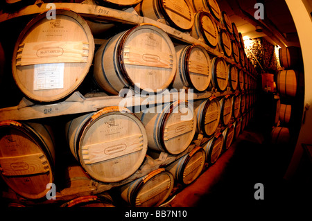 Italienische Weinkeller Stockfoto