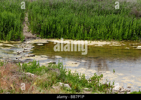 River Crossing Malibu Creek State Park Calabasas Los Angeles LA Stockfoto