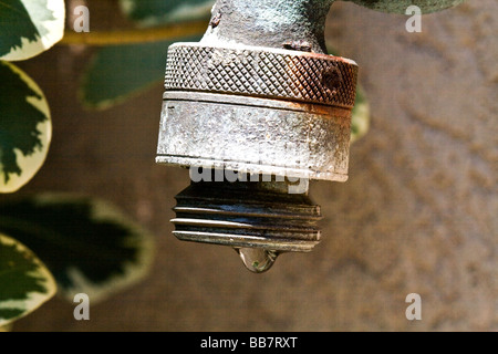 Tropfen Wasser aus einem Metall im freien Zapfen Stockfoto