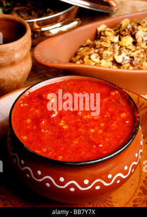 Lahsun-Ki-Chutney ist eine köstliche trockenen Knoblauch Chutney, die ein "muss" in jeder Rajasthani-Küche. Stockfoto