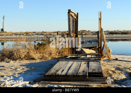 Holz Ponton im Salton sea Stockfoto