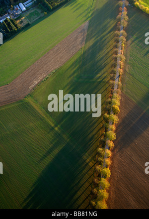 Luftaufnahme, Landstraße mit Bäumen und Feldern, Werl, Kreis Soest, Soester Boerde, Südwestfalen, NRW, Stockfoto