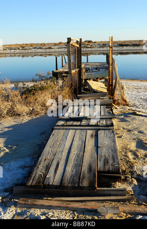 Holz Ponton im Salton sea Stockfoto