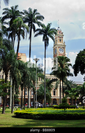 Parque da Luz Park, Blick auf den Turm der Estacao da Luz train Station, Sao Paulo, Brasilien, Südamerika Stockfoto