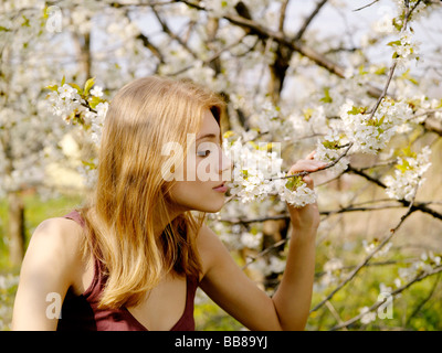 1253139 Menschen Porträt einer Frau 25 30 Jahre Erwachsene blonde Geruch Baum halten Touch Zweig Zweige Blume Blüten weiß Blüte ein Stockfoto