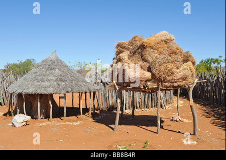 Stroh Lagerung der Ovambo Leute in ein Museum unter freiem Himmel, Cultural Village, Tsumeb, Namibia, Afrika Stockfoto