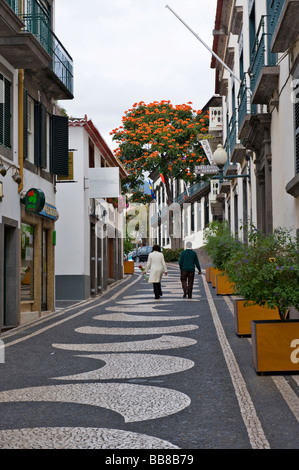 Gasse im historischen Stadtzentrum von Funchal, Madeira, Portugal Stockfoto