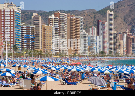 Strand, Playa Levante, touristische Hotspot Benidorm, Costa Blanca, Spanien Stockfoto