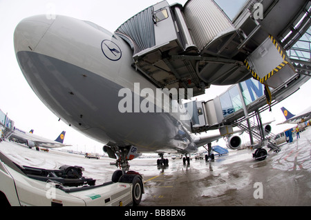 Flugzeug, Franz-Josef-Strauß-Flughafen, München, Bayern, Deutschland, Europa Stockfoto