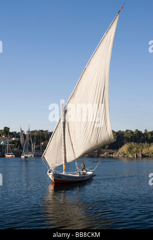 Feluke auf dem Nil, Assuan, Ägypten, Afrika Stockfoto